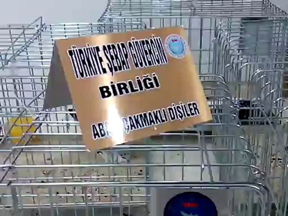 Şebap Güvercin Birliği 5.Karaman Festivali 5