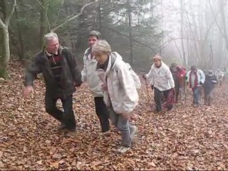 Mini-randonnée pédestre autour de Grosmagny