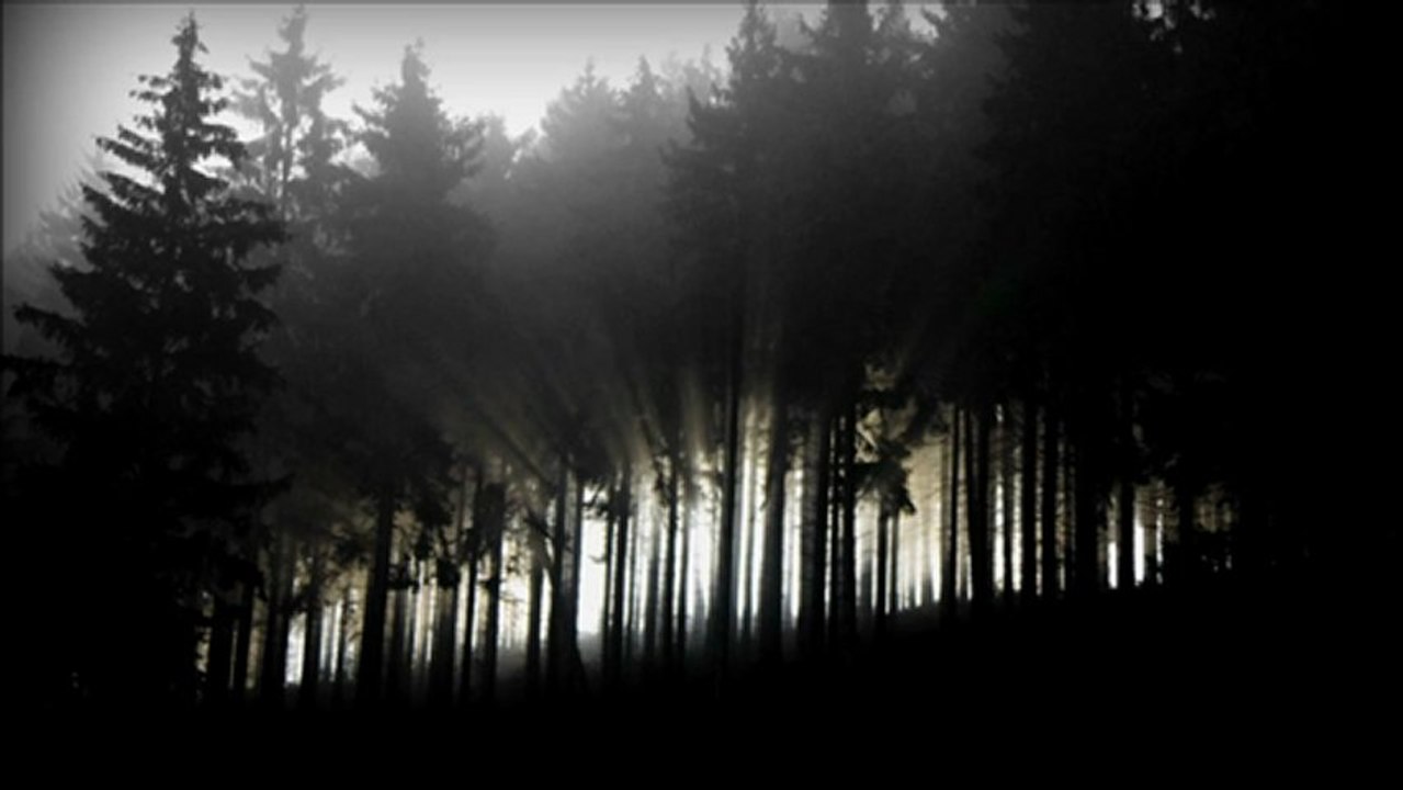 Andreas Bergmann - Eifel (Original Mix)