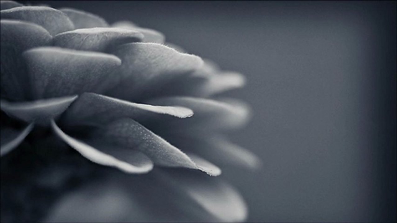 Papercut Feat. Sous Peau - He Loves Me, She Loves Me Not (Eelke Kleijn Remix)