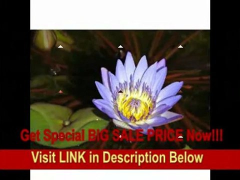 [FOR SALE] Nikon 1 J1 10.1 MP HD Digital Camera System with 10-30mm VR and 30-110mm VR 1 NIKKOR Lenses (Red)