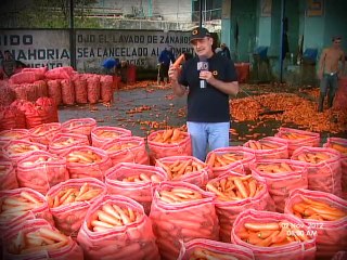 Agricultores de Mérida denuncian que Gobierno acabará con la producción nacional