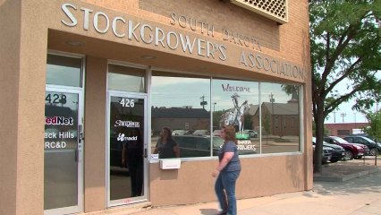 Bison back on US plains and plates