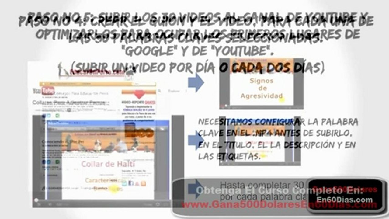 Como conseguir dolares en 9 pasos