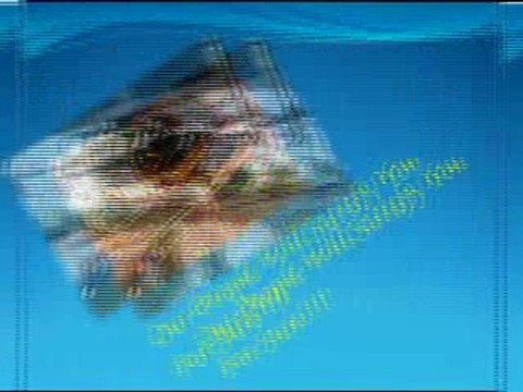 Pandoras OEM - Appliance Repair Service Store