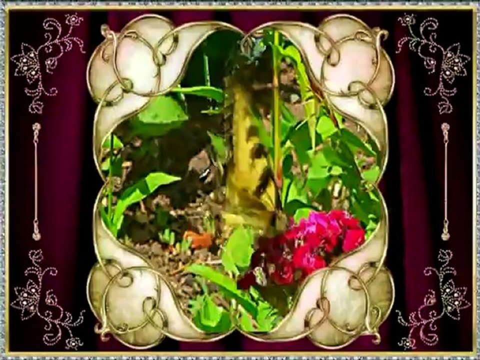 HZ MEHDİ AS HZ İSA AS İLE FAALİYET YAPACAK MI VE HZ İSA AS HZ MEDİ AS IM ARKASINDA NAMAZ KILMIŞ MIDIR_mpeg2video