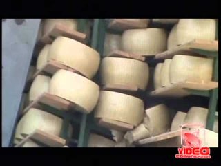 Napoli - Scaglie di Solidarietà (20.11.12)