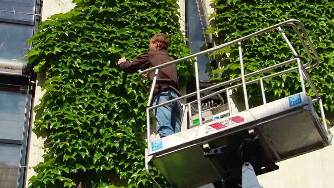 Société Voxoa : Publi-reportage pour leur changement de siège social