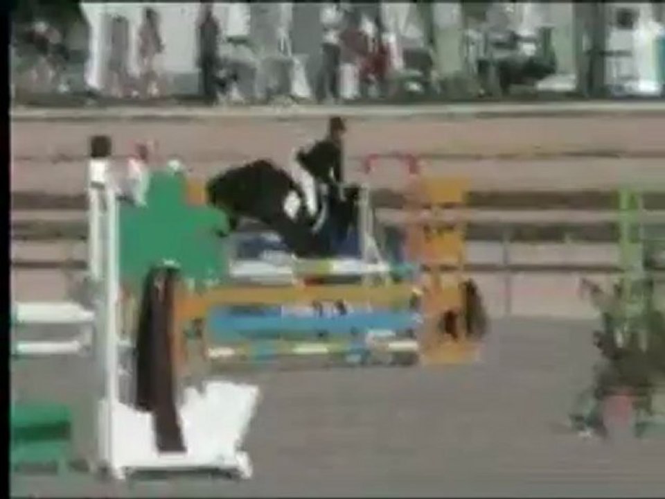 JUMENT  PFS  -  7 ANS EN 2013