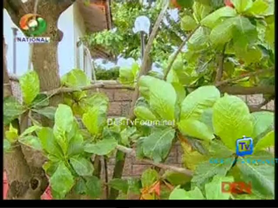 Kashmakash Zindagi Ki 21st November 2012 Video Watch Online