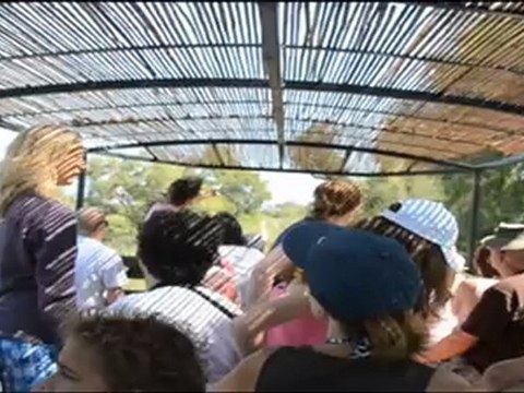 Visite en calèche aux Marais du Vigueirat