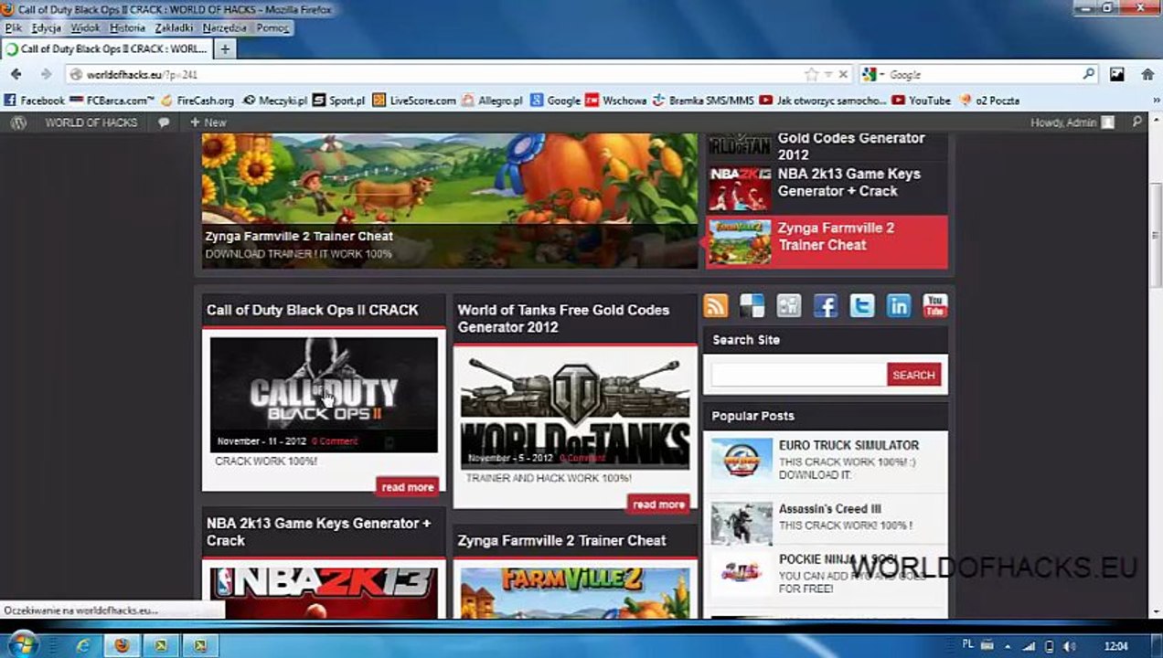 call of duty black ops II CRACK