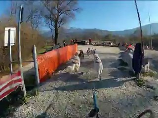 championnat europe FISTC Italie 2012 manche 2 patie 02