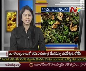 Nara-Nandamuri Families will joined Babu pada yatra
