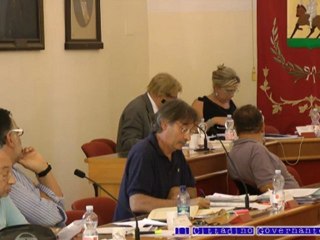 Consiglio comunale 10 agosto 2012 Presentazione emendamento Arboretti