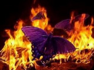 İrfan ÖZCAN - MOR KONUŞUR MU