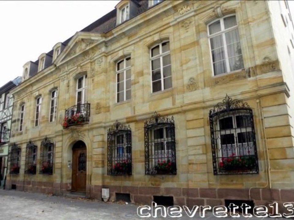 Mulhouse fin