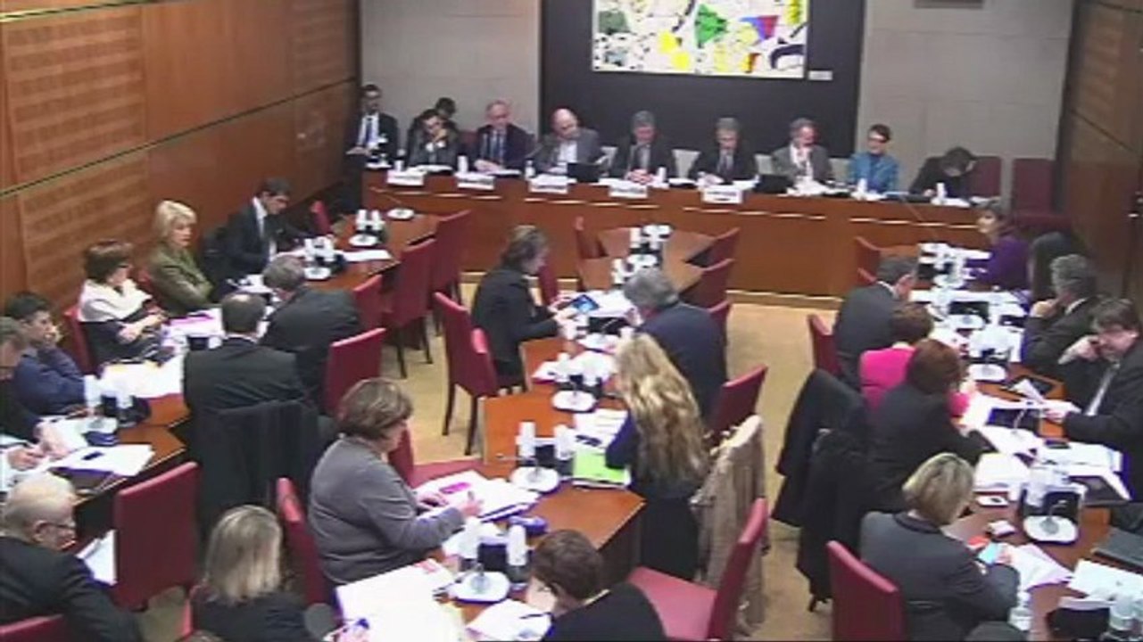 Intervention en commission des Affaires Culturelles et de l'Education sur la rémunération pour copie privée 21_11_2012