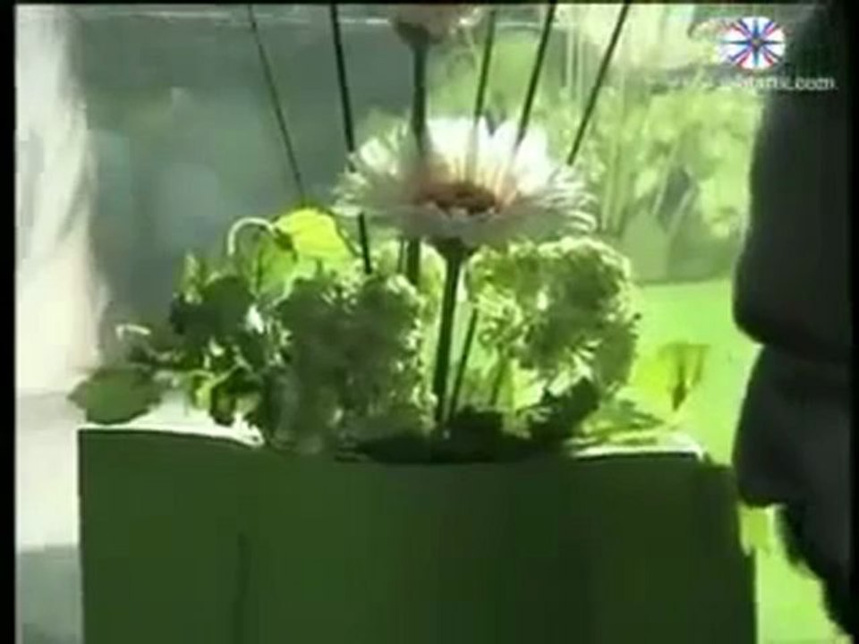 Salam Albert _ Mokhnaywean