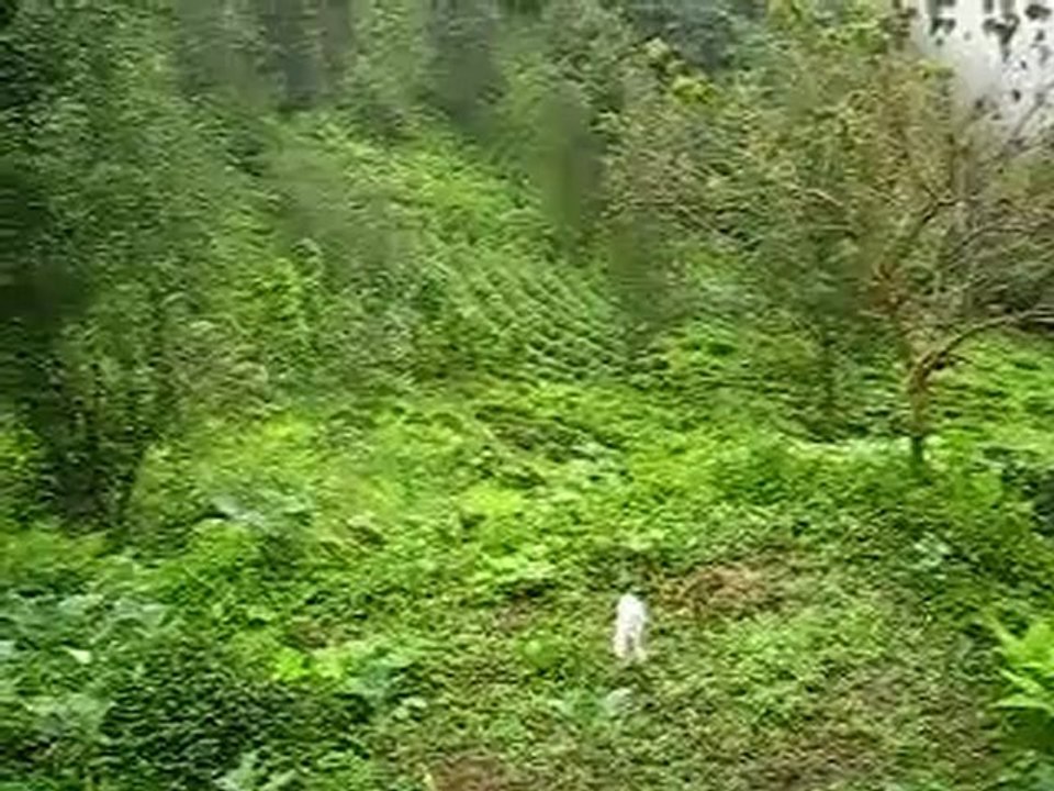 Rize - Büyükköy lizoradan evden yağmur görüntüsü