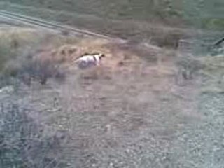 Video001(00h00m00s-00h00m10s)