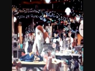 ton voeux est exocé DE WITTE