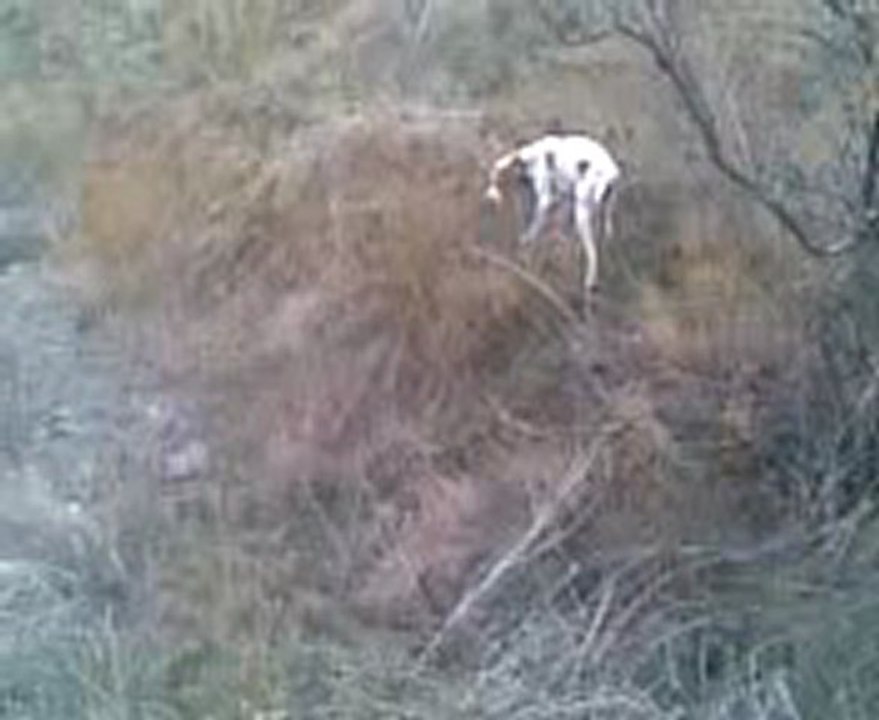 Video004