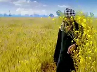 PRINCE OF PATIALA OFFICIAL TEASER Trailer - babbu mann miss pooja