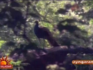 [DTH-RIP] Thiruvarul