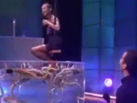 New Show Killer Karaoke is American Idol Meets Fear Factor