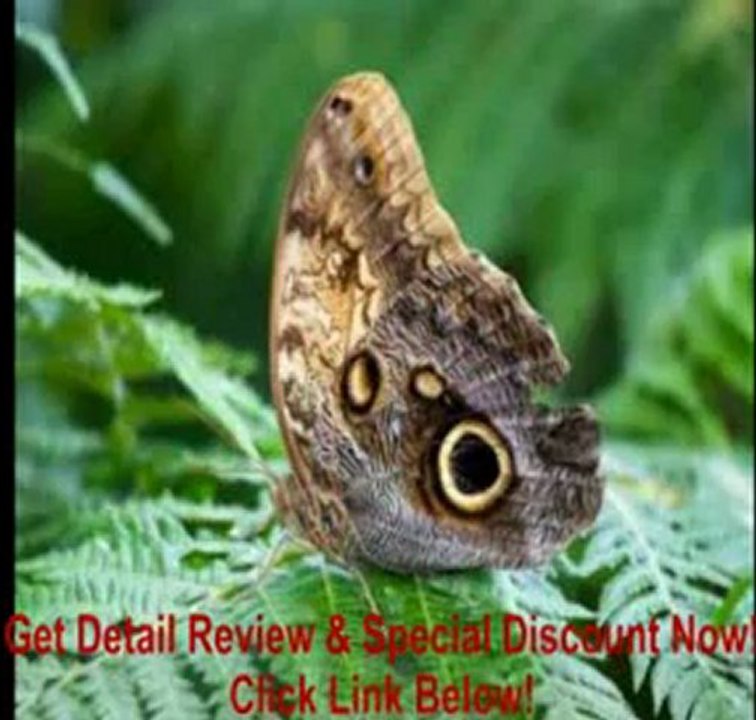 [BEST PRICE] Canon EOS 50D 15.1MP Digital SLR Camera with EF-S 18-200mm f/3.5-5.6 IS Standard Zoom Lens