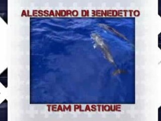 Vendée Globe 2012 - Di Benedetto et les Dauphins (Team Plastique)