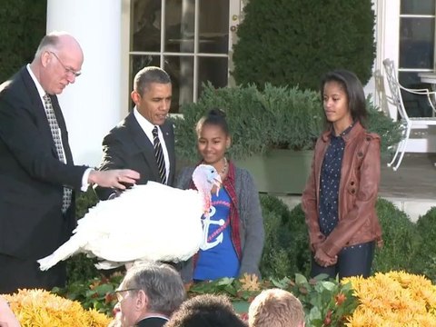 Obama, in annual tradition, pardons Thanksgiving turkey