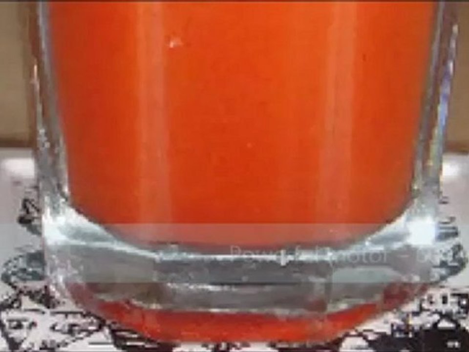 Breville JE900 Juice Fountain