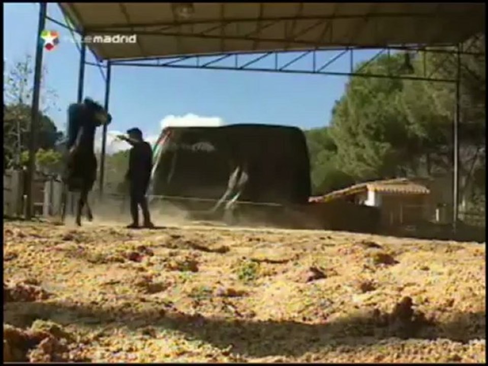 Doma de Caballos en Libertad (Reportaje Antena 3)