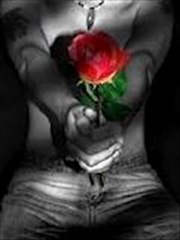 ne zaman yüreğinin sesi