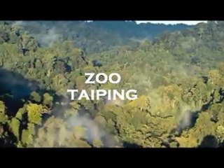 Zoo Taiping & Night Safari