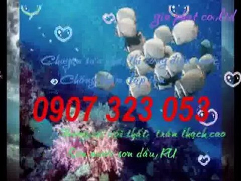 Cty sửa nhà,sơn nước rẻ tại quận 1,2 hcm call 0936 890 585