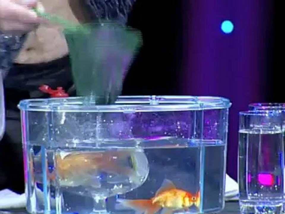 divers_183_1
