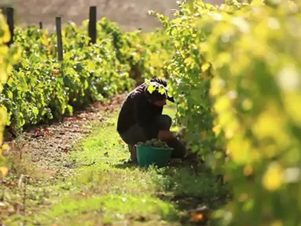 La Sarthe - Le Film en 1'30