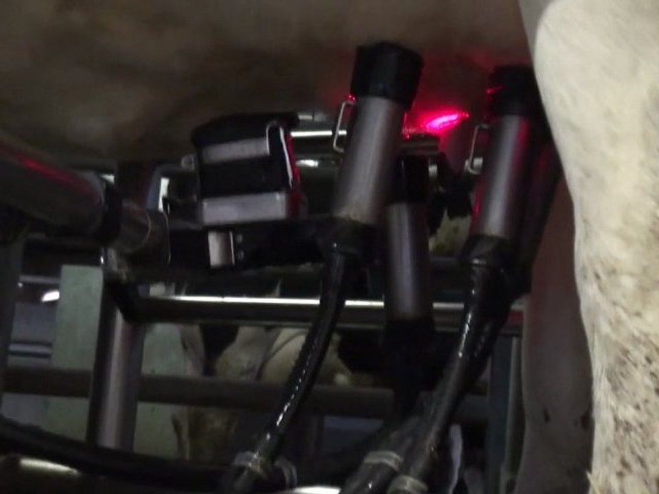 Robot de traite du GAEC de la Tour