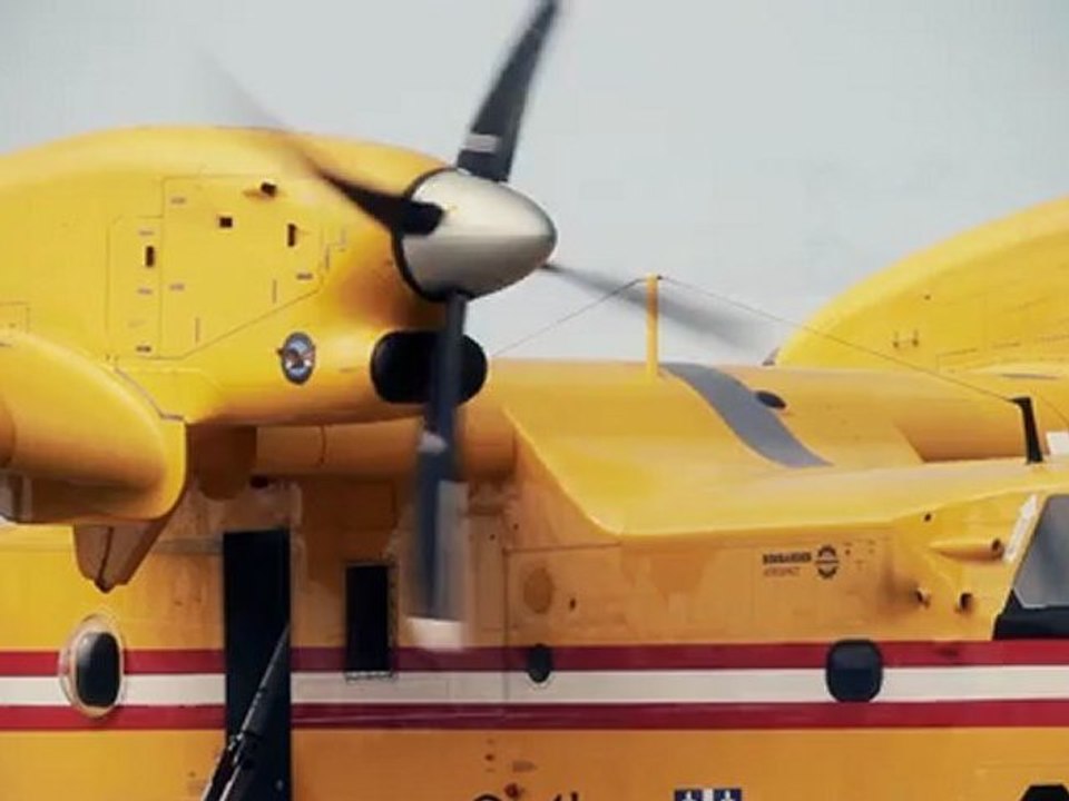 Ingénieure forestière - Protection des forêts