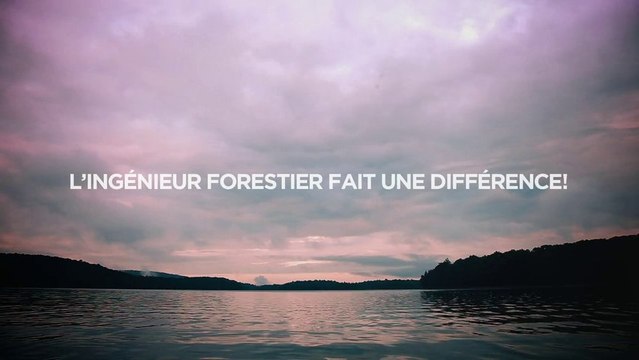 Découvrez la profession d'ingénieur forestier