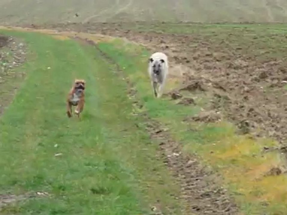 HK et Ginza 221112 2