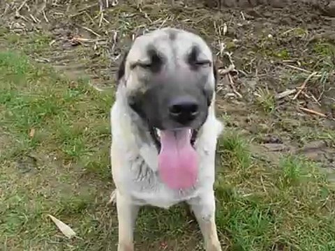 HK et Ginza 221112 4