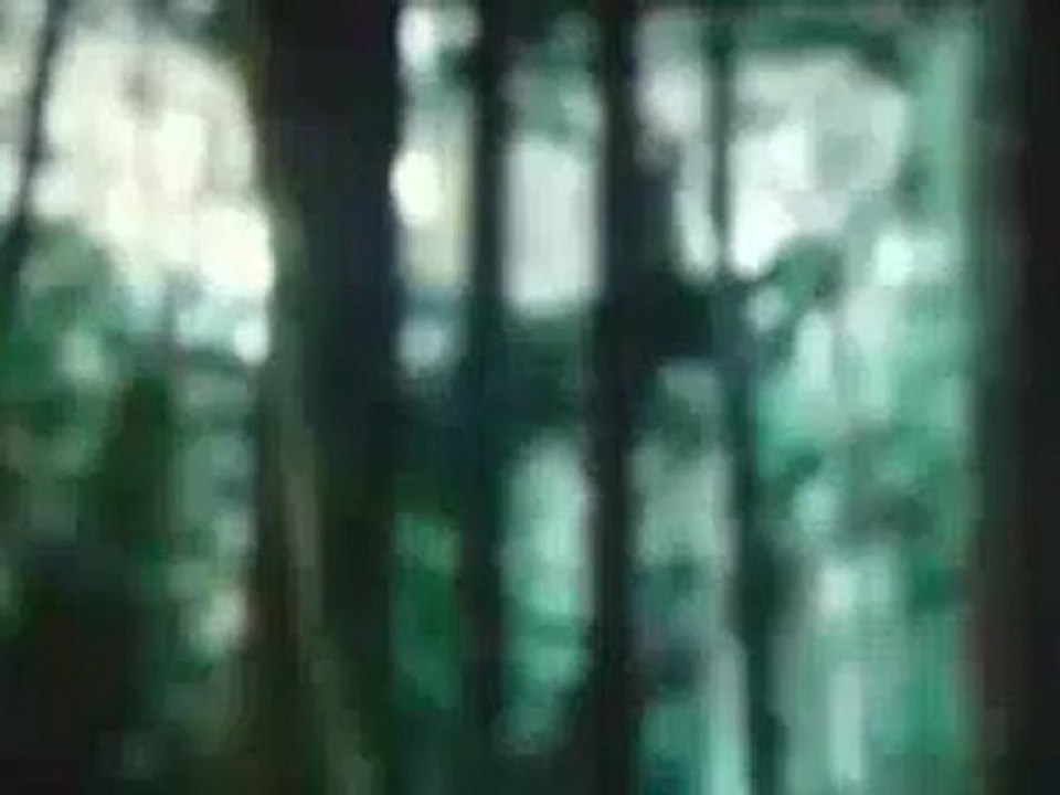 Hung DOng Phan 2_clip0