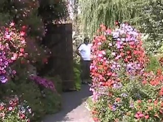 Promenades dominicales