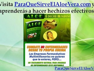 Gel de Aloe Vera Casero