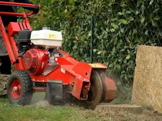 Elimination de souche par la technique du rognage expliquée par un paysagiste professionnel