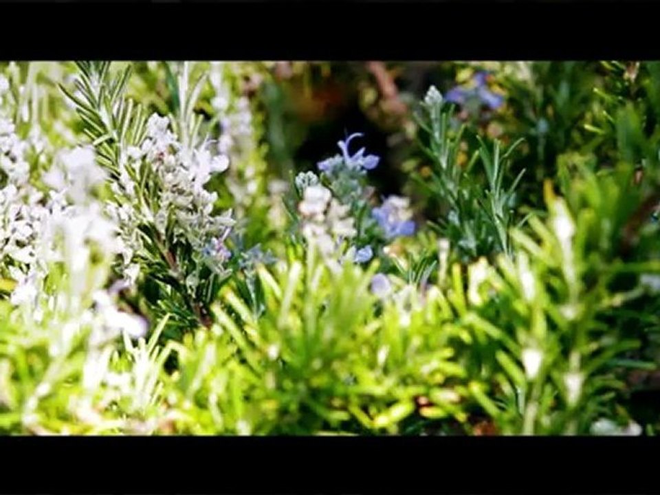 On dirait le sud - Film & Timelapse - French Riviera